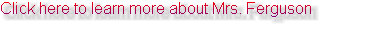 rabbitmeadowstudio2002010.jpg